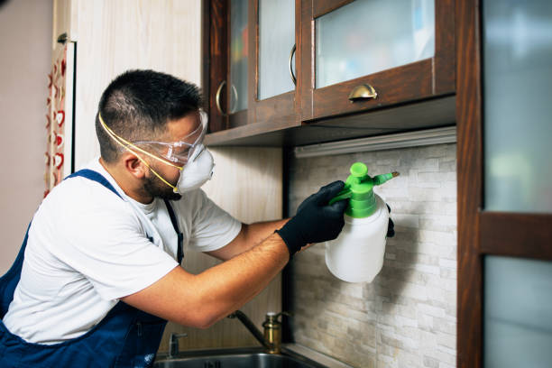 Best Exterminator Services  in Revere, MA